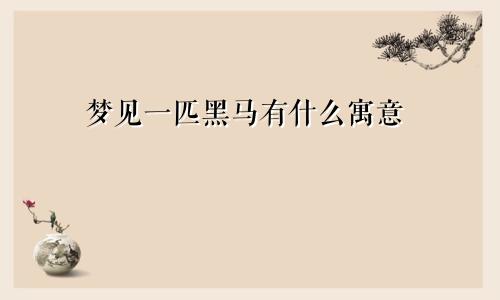 梦见一匹黑马有什么寓意