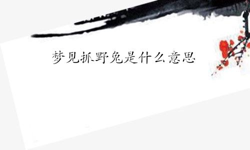 梦见抓野兔是什么意思