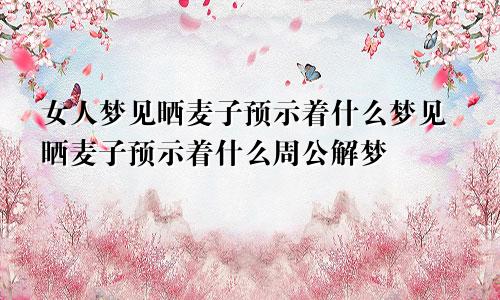 女人梦见晒麦子预示着什么梦见晒麦子预示着什么周公解梦