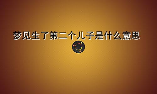 梦见生了第二个儿子是什么意思