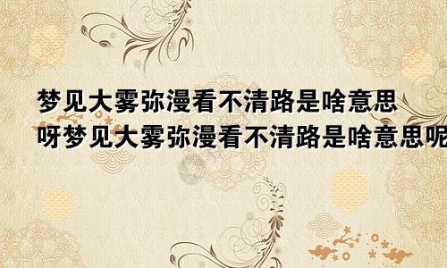 梦见大雾弥漫看不清路是啥意思呀梦见大雾弥漫看不清路是啥意思呢