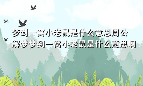 梦到一窝小老鼠是什么意思周公解梦梦到一窝小老鼠是什么意思啊