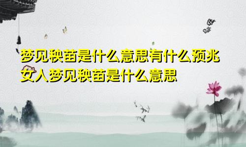 梦见秧苗是什么意思有什么预兆女人梦见秧苗是什么意思