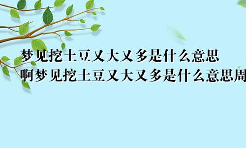 梦见挖土豆又大又多是什么意思啊梦见挖土豆又大又多是什么意思周公解梦
