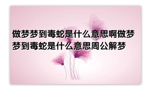 做梦梦到毒蛇是什么意思啊做梦梦到毒蛇是什么意思周公解梦