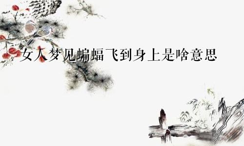 女人梦见蝙蝠飞到身上是啥意思