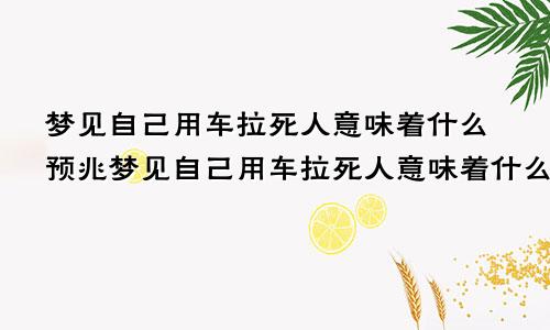 梦见自己用车拉死人意味着什么预兆梦见自己用车拉死人意味着什么意思