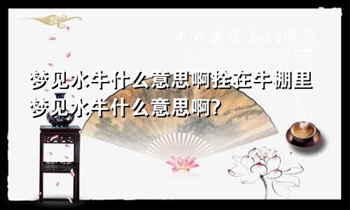 梦见水牛什么意思啊拴在牛棚里梦见水牛什么意思啊?