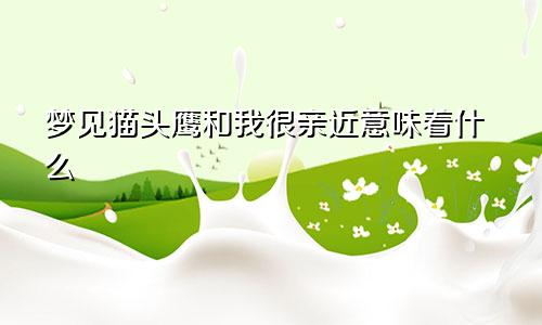 梦见猫头鹰和我很亲近意味着什么