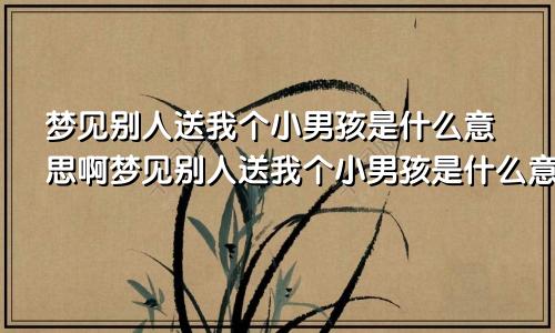 梦见别人送我个小男孩是什么意思啊梦见别人送我个小男孩是什么意思呀