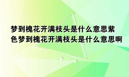 梦到槐花开满枝头是什么意思紫色梦到槐花开满枝头是什么意思啊