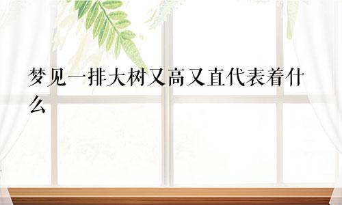 梦见一排大树又高又直代表着什么