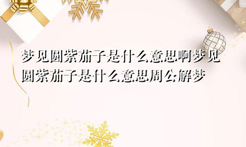梦见圆紫茄子是什么意思啊梦见圆紫茄子是什么意思周公解梦