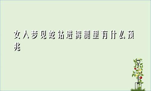女人梦见蛇钻进裤腿里有什么预兆