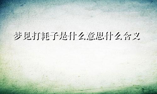 梦见打耗子是什么意思什么含义