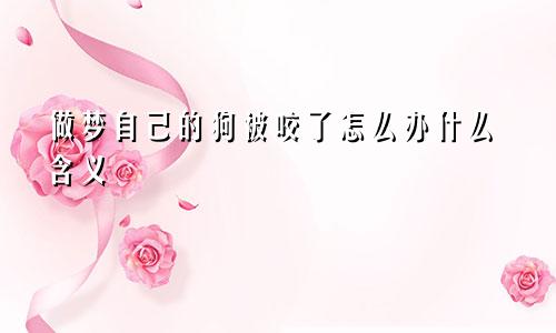 做梦自己的狗被咬了怎么办什么含义