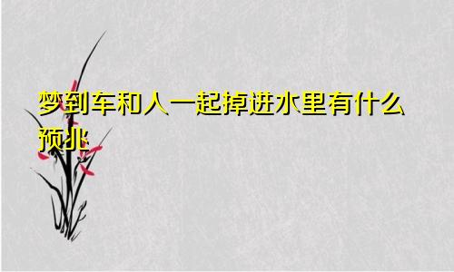 梦到车和人一起掉进水里有什么预兆