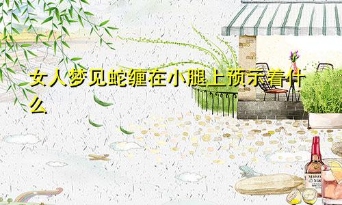 女人梦见蛇缠在小腿上预示着什么