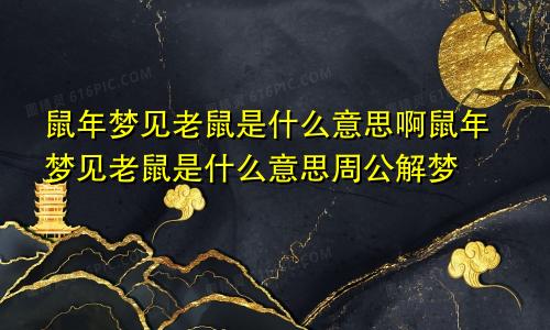 鼠年梦见老鼠是什么意思啊鼠年梦见老鼠是什么意思周公解梦