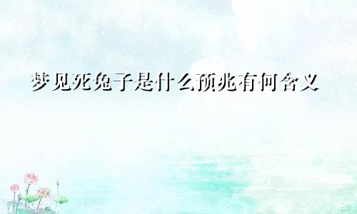 梦见死兔子是什么预兆有何含义