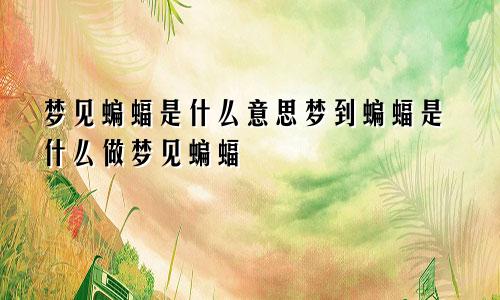 梦见蝙蝠是什么意思梦到蝙蝠是什么做梦见蝙蝠
