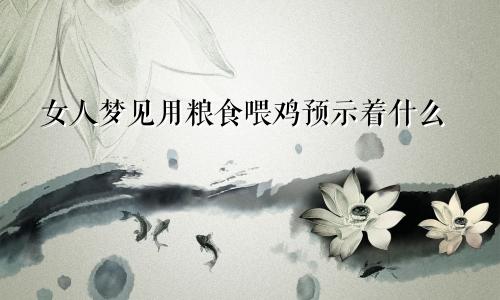 女人梦见用粮食喂鸡预示着什么