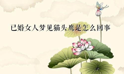 已婚女人梦见猫头鹰是怎么回事