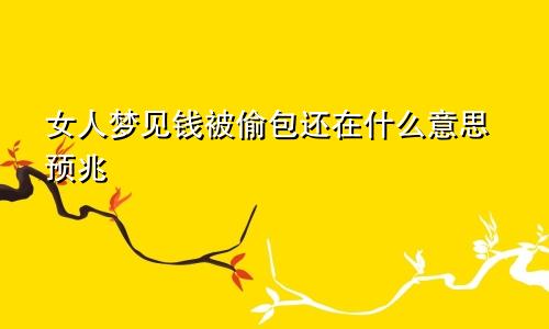 女人梦见钱被偷包还在什么意思预兆