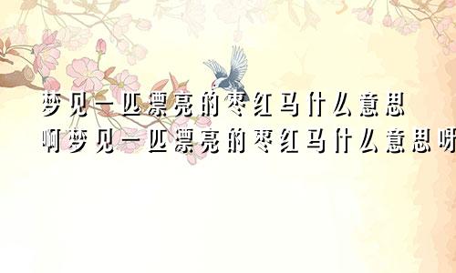梦见一匹漂亮的枣红马什么意思啊梦见一匹漂亮的枣红马什么意思呀