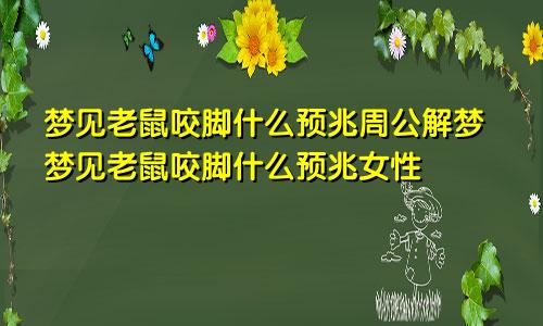梦见老鼠咬脚什么预兆周公解梦梦见老鼠咬脚什么预兆女性