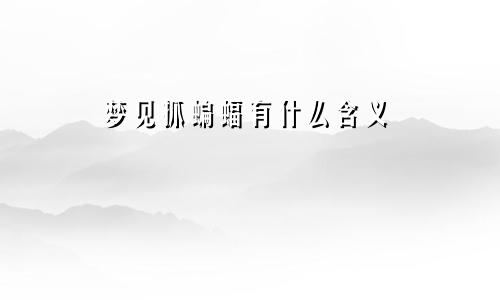 梦见抓蝙蝠有什么含义