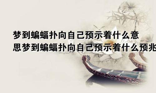 梦到蝙蝠扑向自己预示着什么意思梦到蝙蝠扑向自己预示着什么预兆