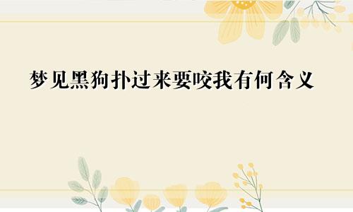 梦见黑狗扑过来要咬我有何含义