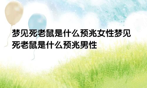 梦见死老鼠是什么预兆女性梦见死老鼠是什么预兆男性