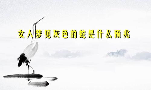 女人梦见灰色的蛇是什么预兆