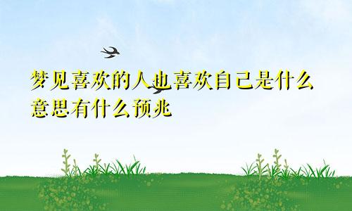 梦见喜欢的人也喜欢自己是什么意思有什么预兆