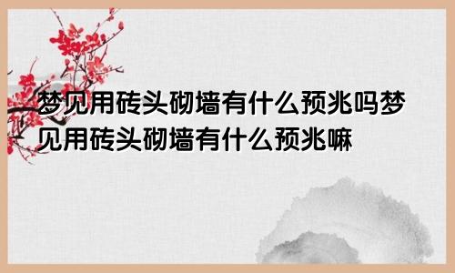 梦见用砖头砌墙有什么预兆吗梦见用砖头砌墙有什么预兆嘛