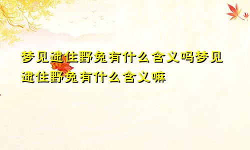 梦见逮住野兔有什么含义吗梦见逮住野兔有什么含义嘛