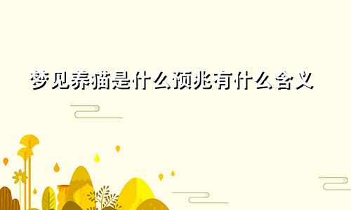 梦见养猫是什么预兆有什么含义