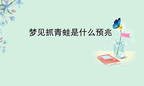 梦见抓青蛙是什么预兆