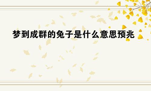 梦到成群的兔子是什么意思预兆