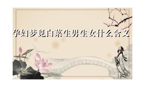 孕妇梦见白菜生男生女什么含义