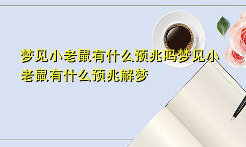 梦见小老鼠有什么预兆吗梦见小老鼠有什么预兆解梦