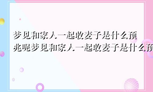 梦见和家人一起收麦子是什么预兆呢梦见和家人一起收麦子是什么预兆解梦
