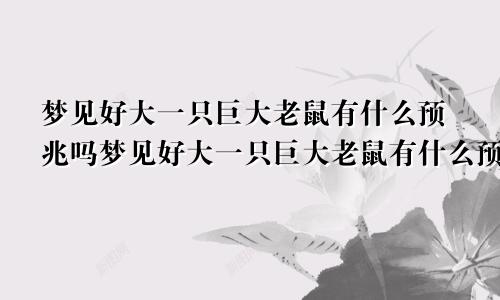 梦见好大一只巨大老鼠有什么预兆吗梦见好大一只巨大老鼠有什么预兆解梦