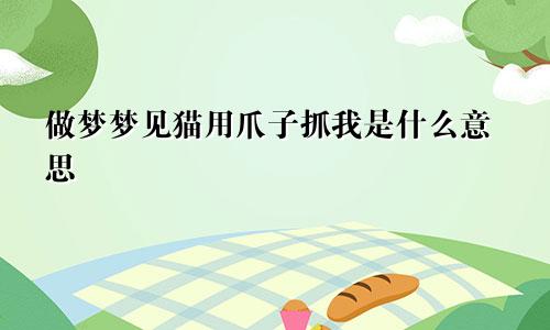 做梦梦见猫用爪子抓我是什么意思