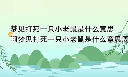 梦见打死一只小老鼠是什么意思啊梦见打死一只小老鼠是什么意思周公解梦