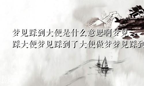 梦见踩到大便是什么意思啊梦见踩大便梦见踩到了大便做梦梦见踩到大便是什么意思