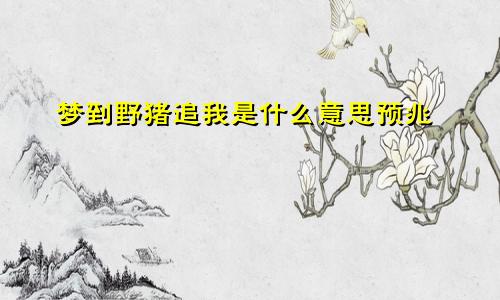 梦到野猪追我是什么意思预兆