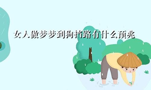 女人做梦梦到狗挡路有什么预兆